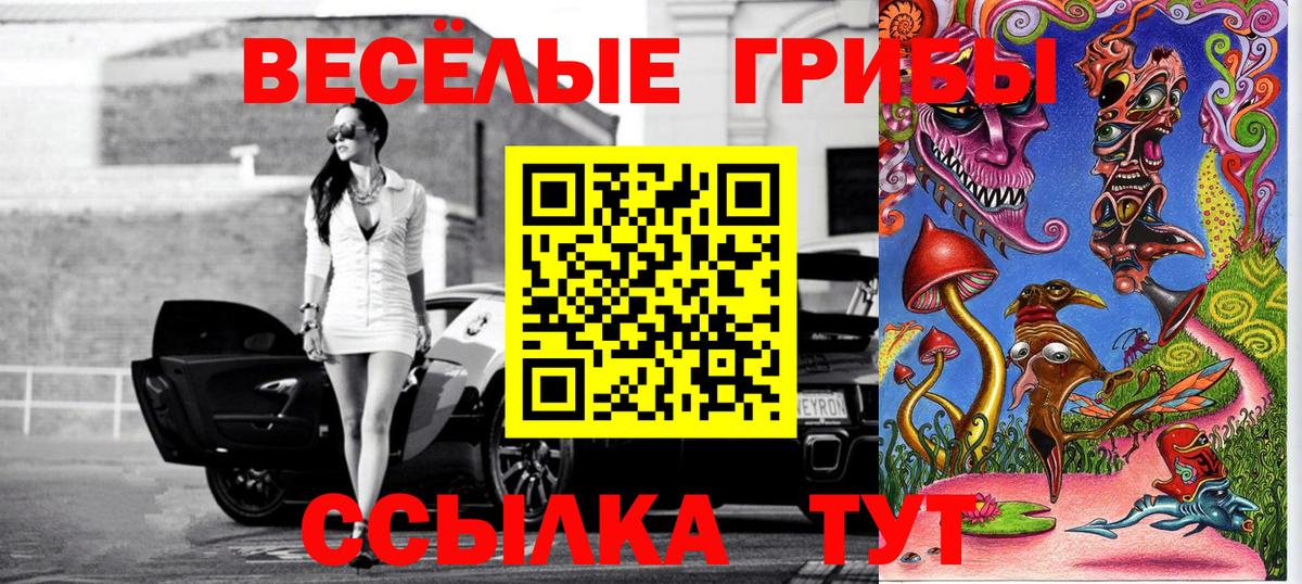 Галлюциногенные грибы прущие грибы Ярославль