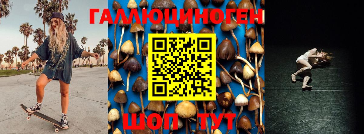 Псилоцибиновые грибы GOLDEN TEACHER Ярославль