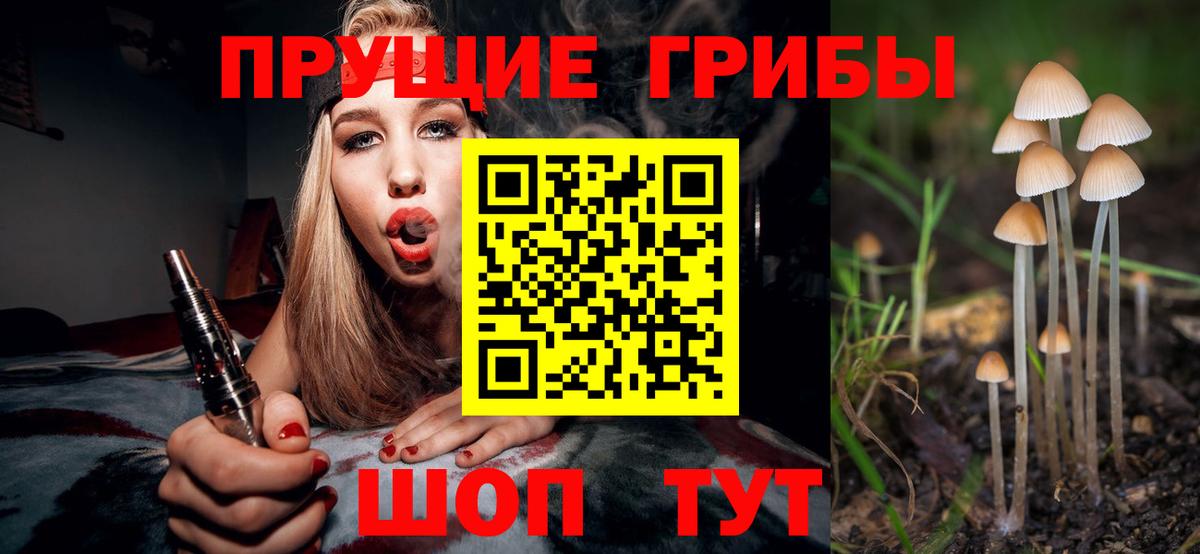 Галлюциногенные грибы Psilocybine cubensis  Ярославль 