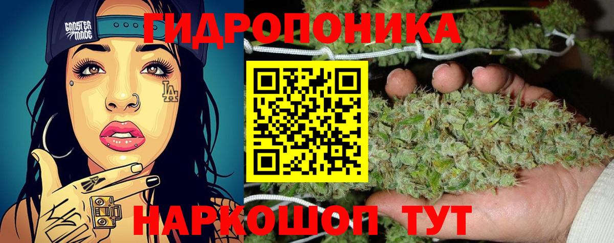 Канабис конопля  Ярославль  Бошки марихуана тримм  Каннабис сатива  Каннабис конопля 